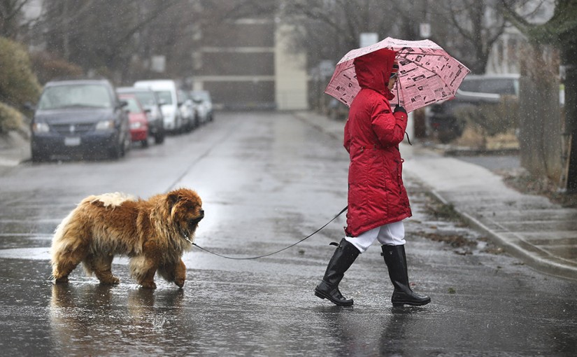 環境部取消大多地區特殊天氣聲明