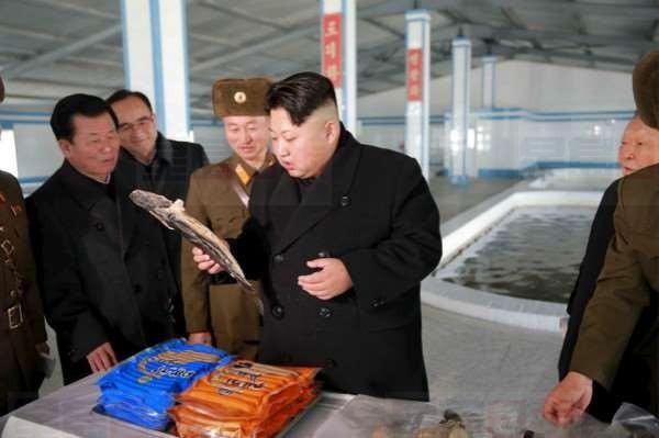 北韓震怒叛兵投奔南韓 撤換所有警衞兼挖深壕