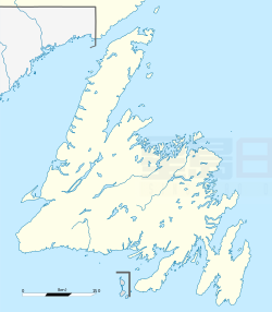 紐芬蘭小鎮斷水兩周 進入緊急狀態