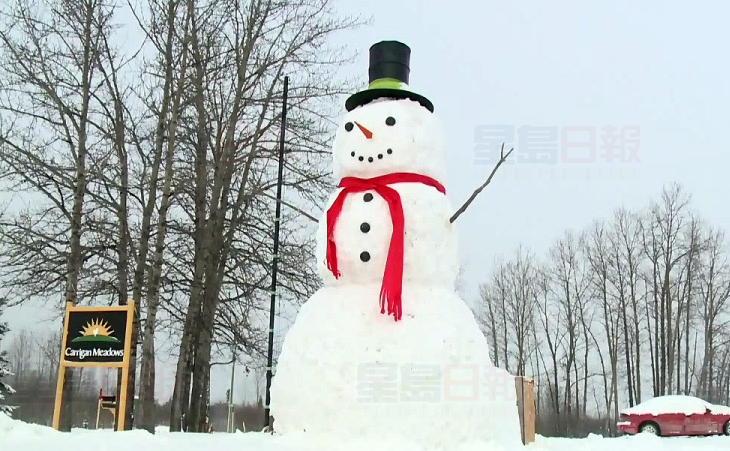 安省爸爸造了個6米高超級雪人 把鄰居的雪都借走了