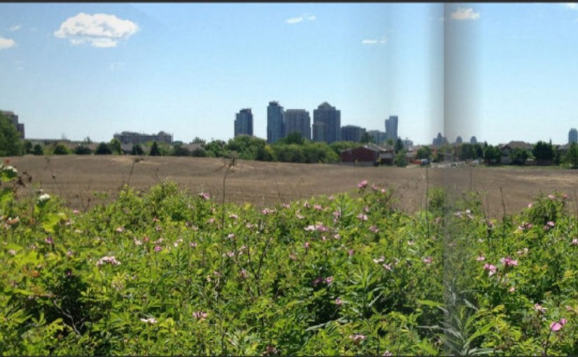 來自英王的餽贈：密西沙加將建200英畝中央公園
