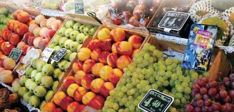 阻止超市扔過期食品 多倫多廚師做了600份聖誕餐