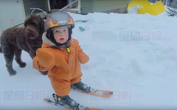 不愧是加拿大人 14個月的神童已經會滑雪