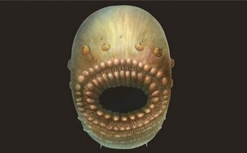 科學家在中國陝西發現最早人類祖先化石