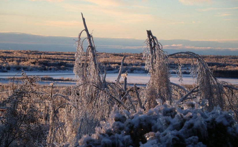 紐省罕見冰暴 1/3用戶停電2人死亡