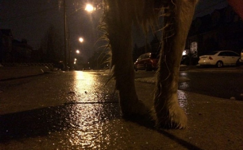 冰雨影響，多市凌晨交通癱瘓航班取消巴士延誤