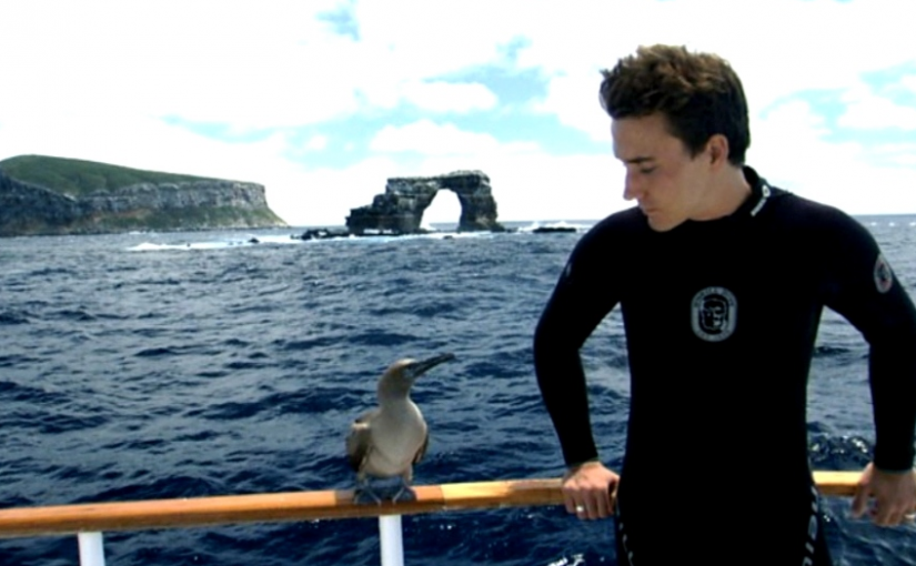 多倫多製片人美國潛水失蹤48小時 仍在搜索