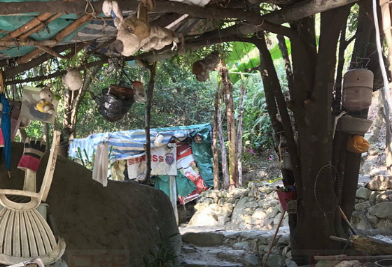 香港變態男涉強姦流浪狗 被逮捕