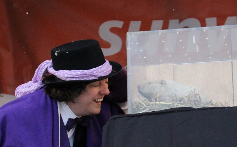 土撥鼠日！加拿大著名土撥鼠預測今年是早春