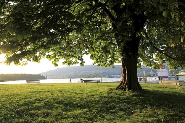 溫哥華史丹利公園加強保安