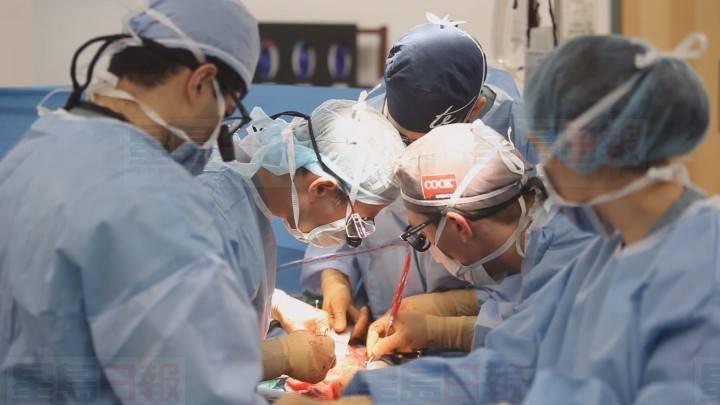 卑詩汽車保險局增加器官捐贈登記服務