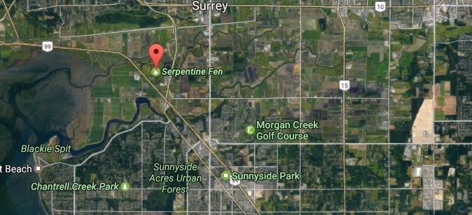 卑詩省素里市發生小型飛機墜毀意外 機師無礙