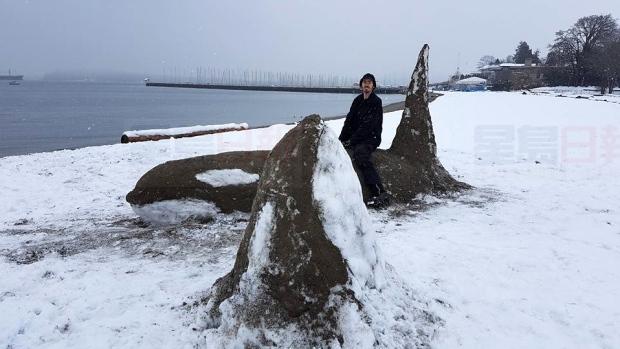 圖：加國男子用沙和雪做成殺人鯨