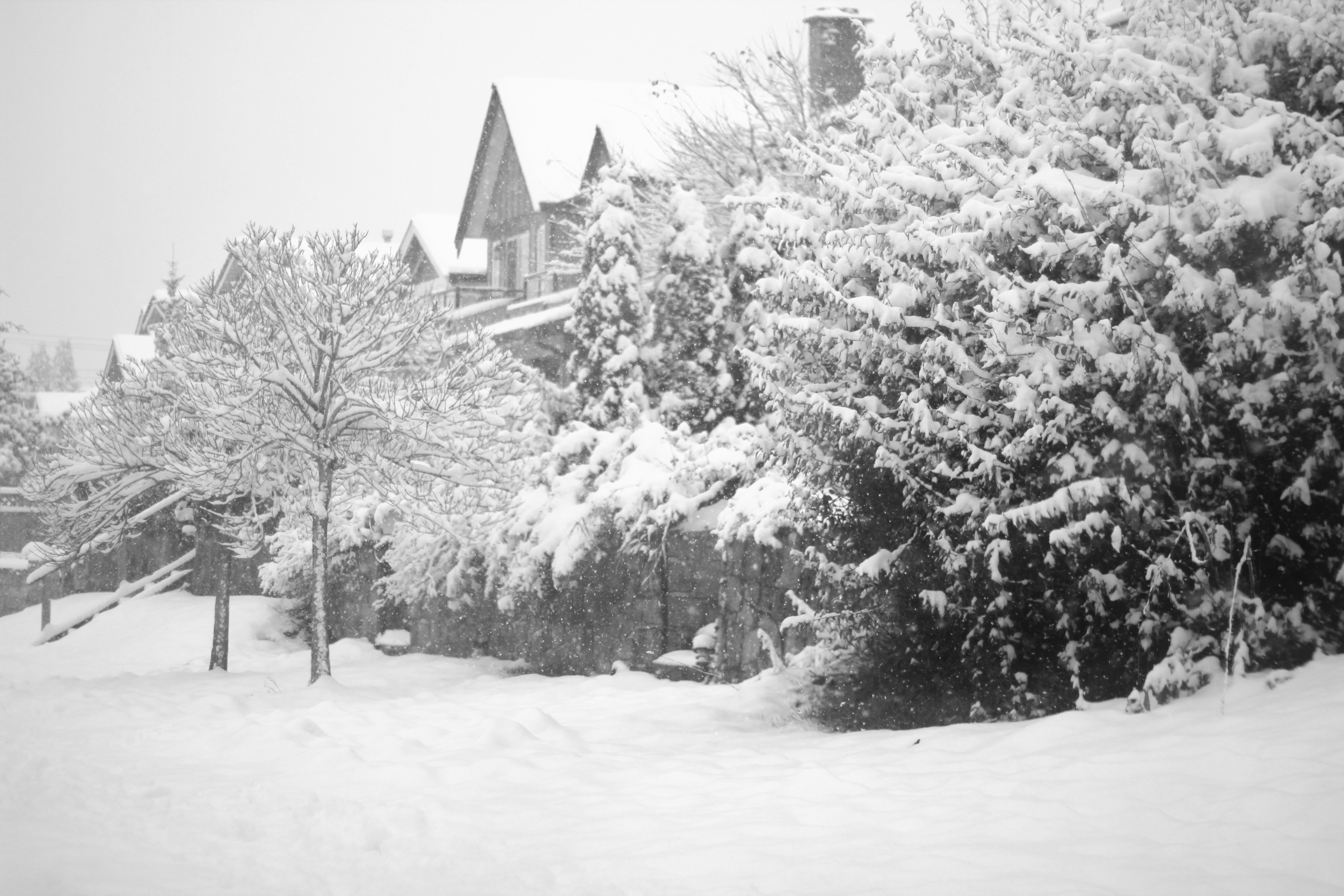 大溫哥華地區的降雪量打破多年記錄