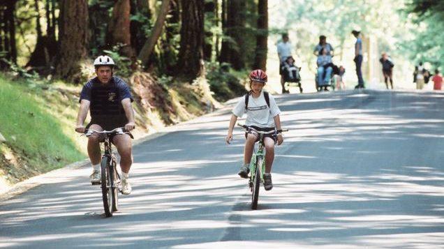 卑詩省北岸將更換已沖毀的Twin Bridge