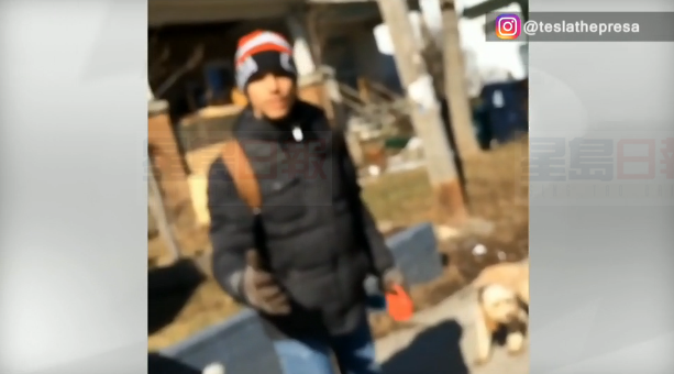 遛狗人狗繩拉狗用後腿走路 遭動物組織調查