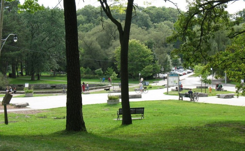 一隻狗狗跌入水池 三個救它的人全部跟著落水