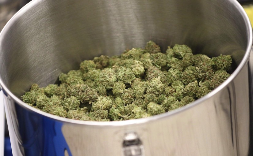 報告：下一個加拿大國慶日大麻將合法