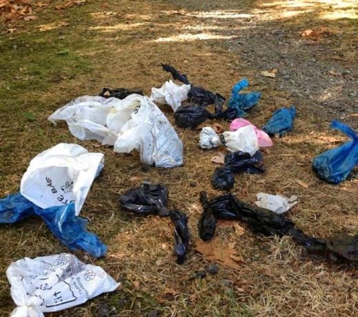 卑詩省西溫哥華可能以新科技 了解沒有處理排洩物的寵物主人身份