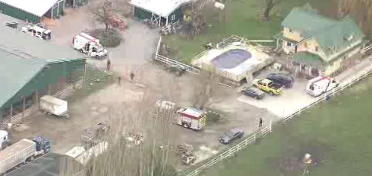 卑詩省南素里市發生馬匹的意外 一人喪生