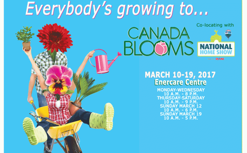 週末好去處：家居展