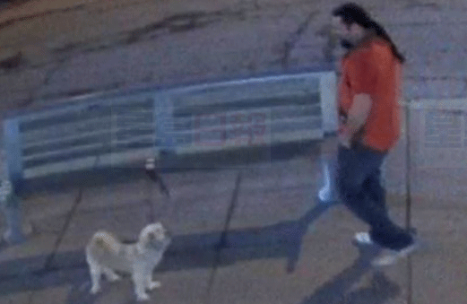 狗狗係餐館外長凳上被偷 被發現係在別處柱上