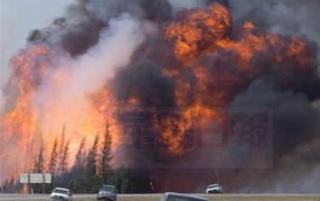 氣溫上升加大森林大火的風險