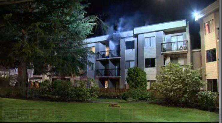 卑詩省蘭里市有住宅發生火警 一人死亡