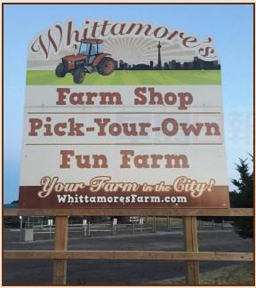 Whiitamore’s Farm十一月後不再對公眾開放