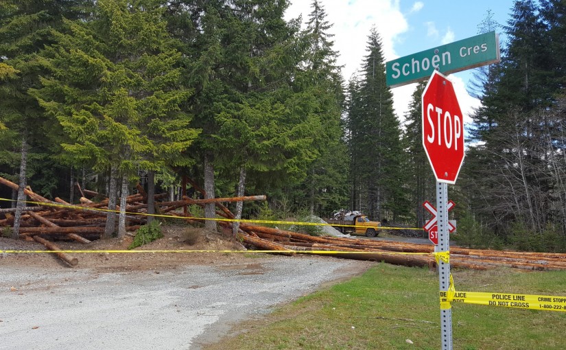 溫哥華島的木材火車出軌事故 不涉及刑事