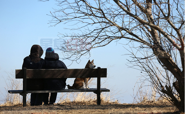 今日天氣回暖 白天最高溫度破10天氣晴朗