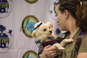 加拿大寵物博覽會