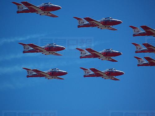 空軍特技隊「雪鳥」暫停空演