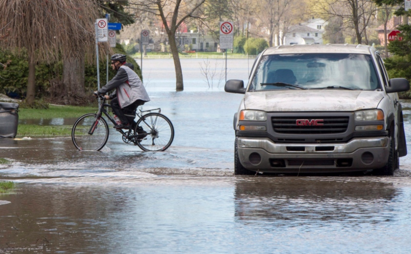 滿地可緊急狀態解除 大規模清理行動展開