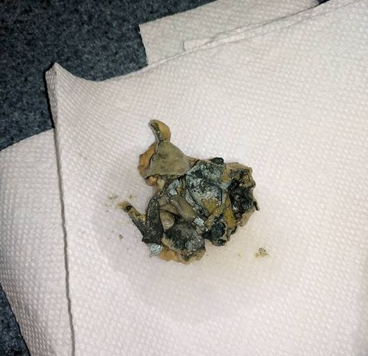 還怎麼正視椰子汁？喝到盒底發現惡心不明物