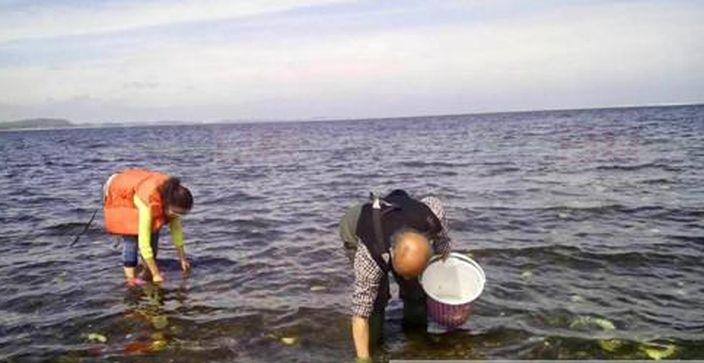 丹麥生蠔成災 遠嫁當地四川女為政府「排憂解難」