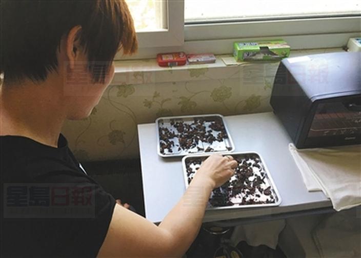 非法收購胎盤製膠囊 北京商販月入10萬不難