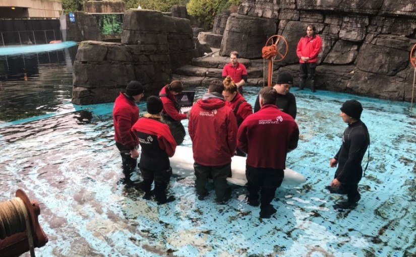 溫哥華公園局附例有新修訂