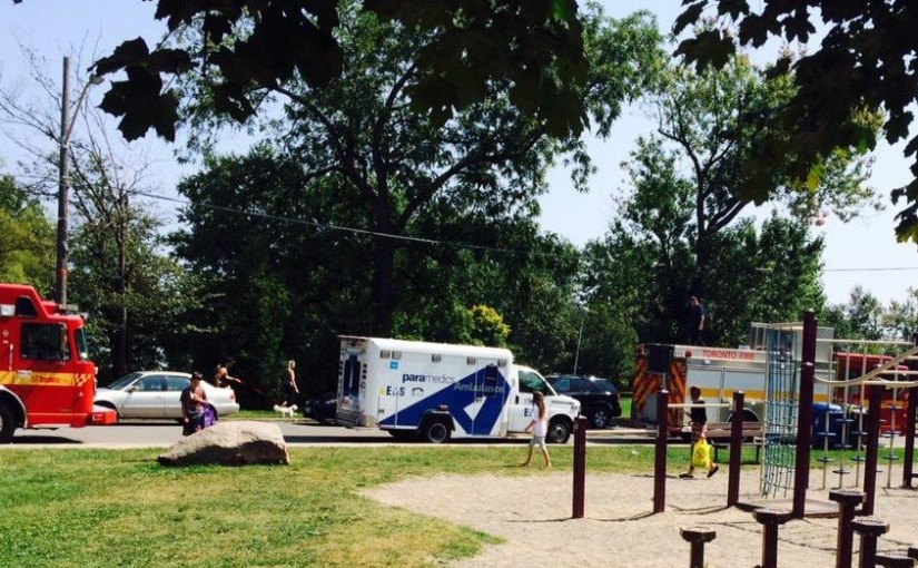 抄近路下懸崖致受傷 政府建議幫士嘉堡公園改名