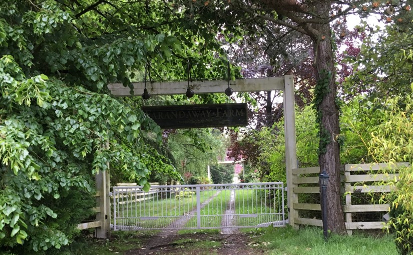 華裔大屋狗吠聲擾民 被法庭判罰