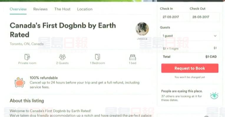 奢侈“狗公寓”DogBnb登陸多倫多