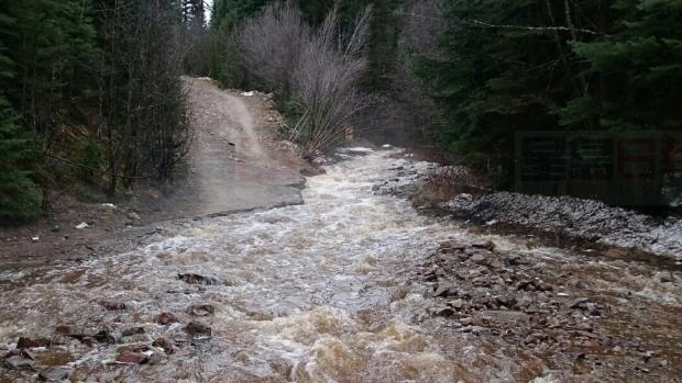 環境部向卑詩省中部和南部地區發出雷暴警告