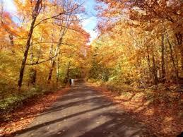 以下幾點不注意 小心被罰款