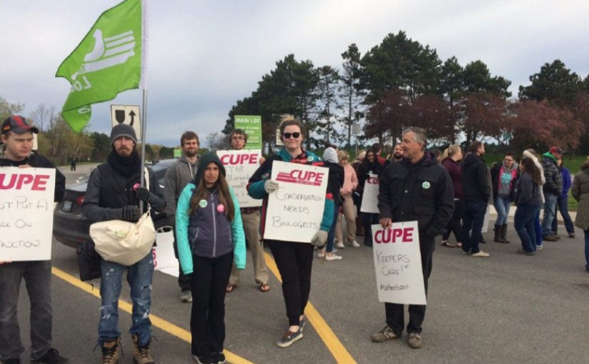 動物園罷工協商完成95%離重新開放不遠