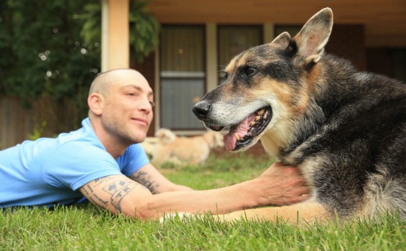 安省男子帶回加拿大首只克隆狗 花費將近9萬