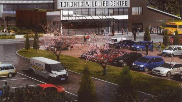 全國最大的野生動物醫院 或很快在士嘉堡動工