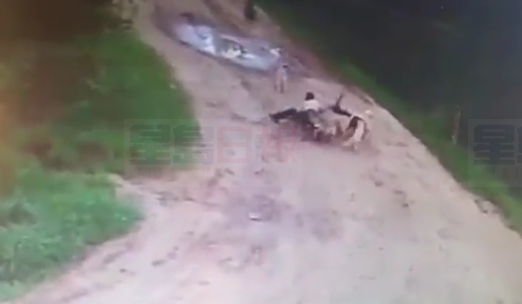 暖男喂流浪狗兩年 沒帶食物遭狗群咬死