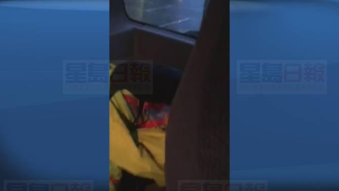 加拿大郵務公司已恢復溫哥華東區 因一隻烏鴉襲擊郵務員而停止的派信服務