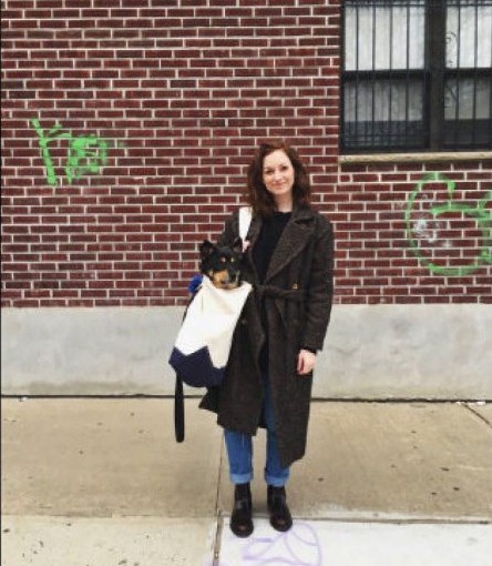 把狗狗裝進包裡就能坐地鐵？抱歉，在多倫多還不能