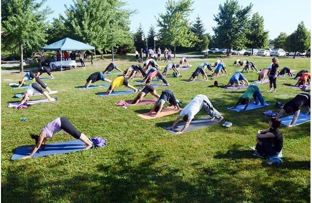 約克區這週怎麼玩？這五個活動不可錯過